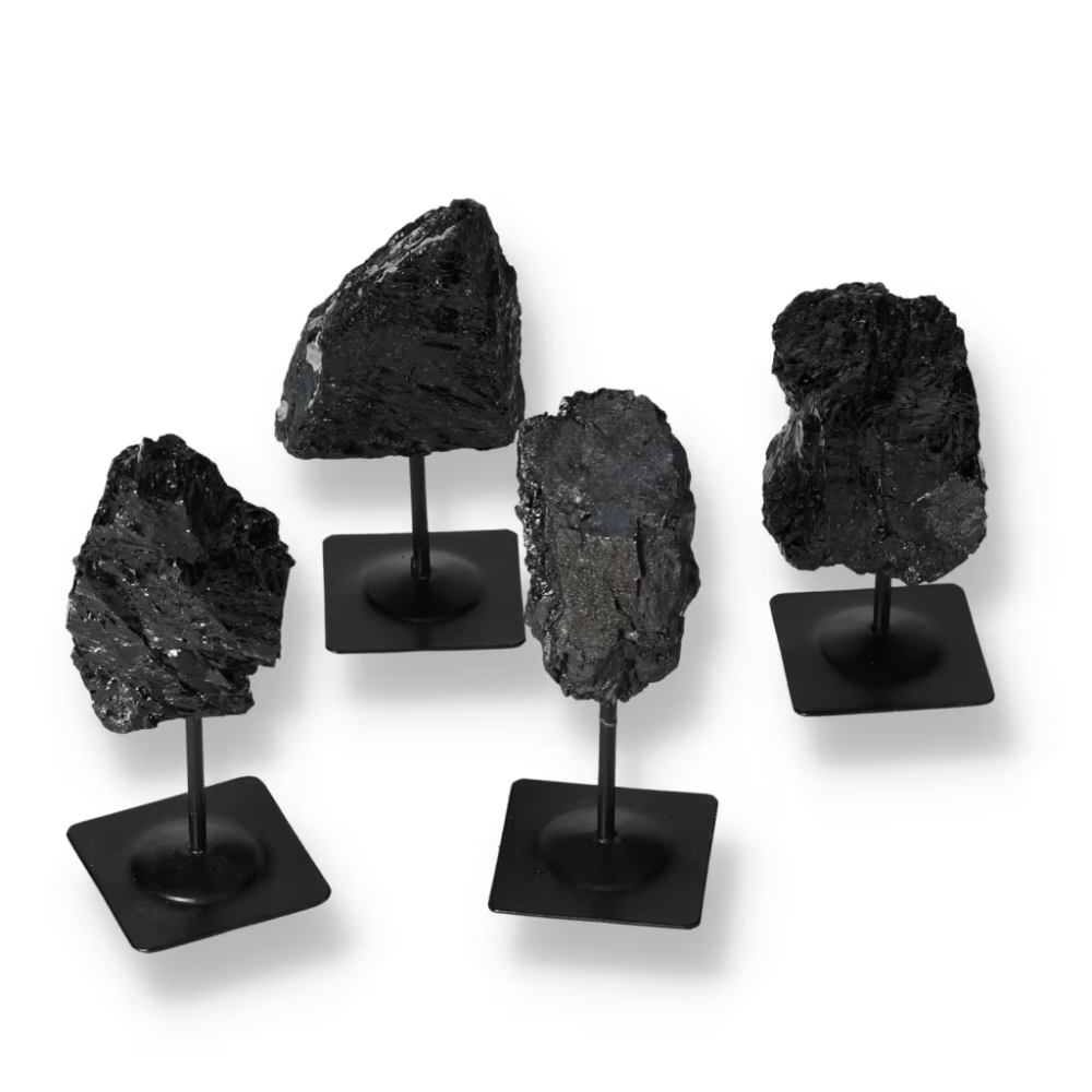 orbitvu|type:ORBITVU 360|https://orbitvu.co/share/M57sCnA2GnRGwxgxgu5aeC/6521085/360/iframe