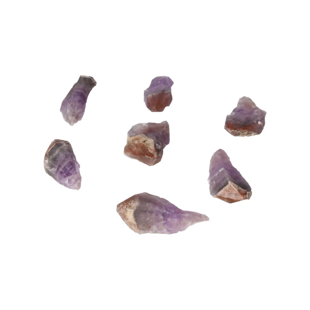 orbitvu|type:ORBITVU 360|https://orbitvu.co/share/Ae9RePdQeGJNK8avCGkdpU/6523466/360/iframe