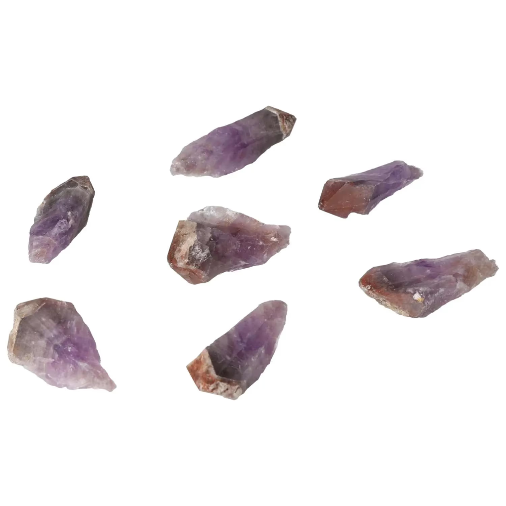 orbitvu|type:image2d