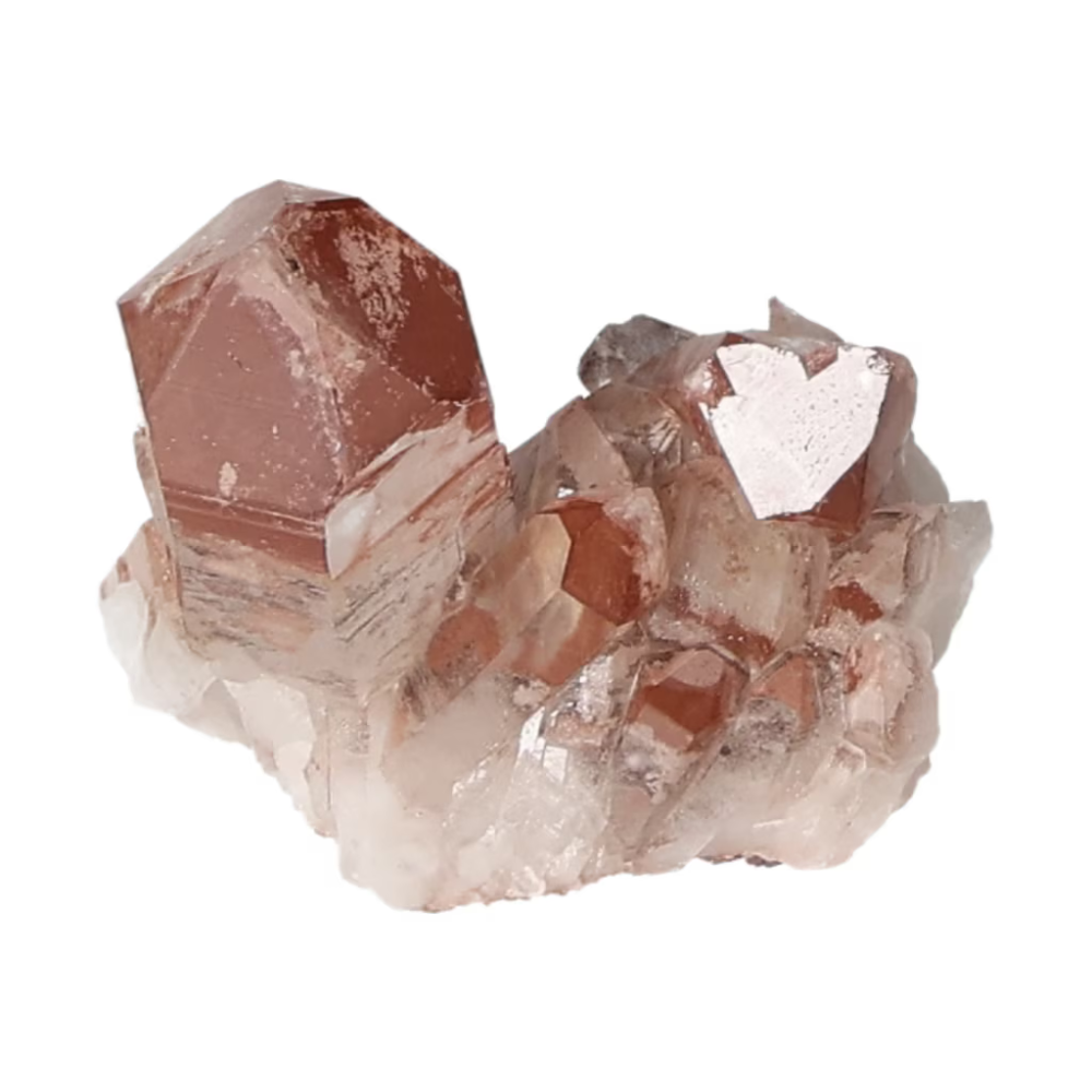 orbitvu|type:ORBITVU 360|https://orbitvu.co/share/xvmCJ576GxR52JSJUy3LYG/6529645/360/iframe