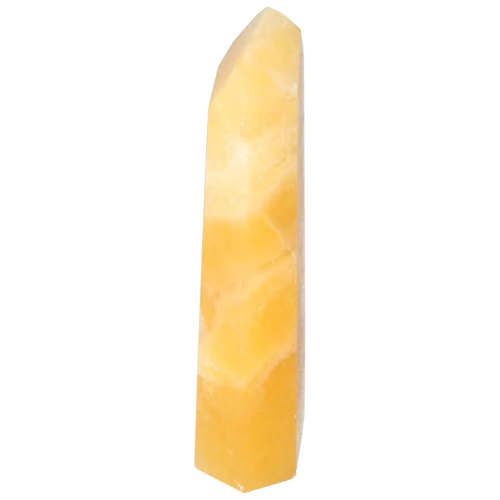 orbitvu|type:image2d