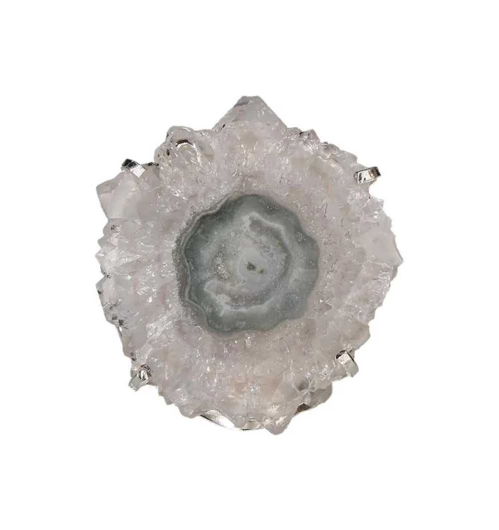 orbitvu|type:image2d