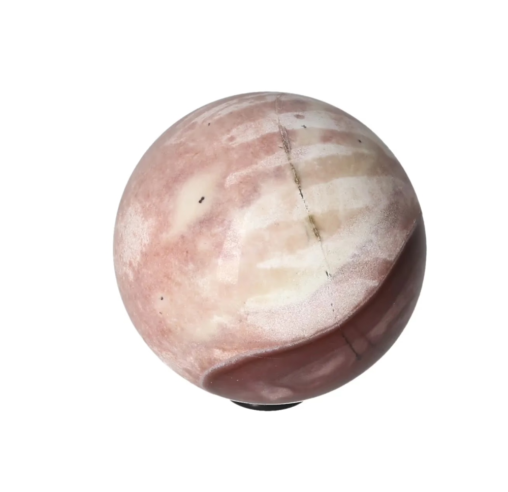 orbitvu|type:image2d