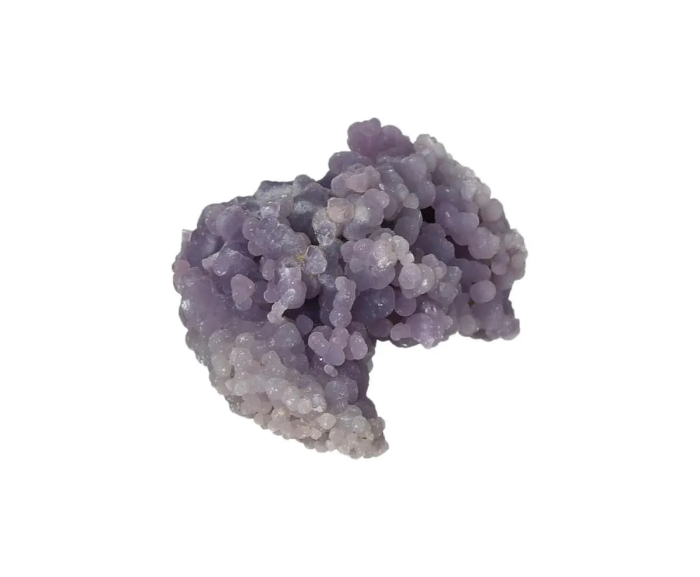 orbitvu|type:image2d