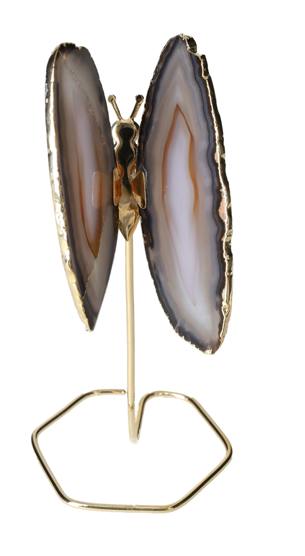 orbitvu|type:image2d