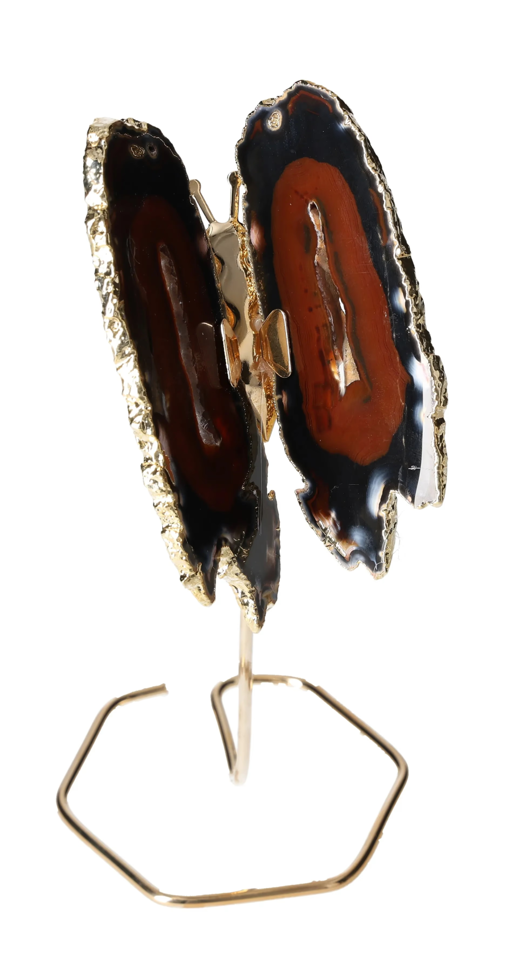 orbitvu|type:image2d