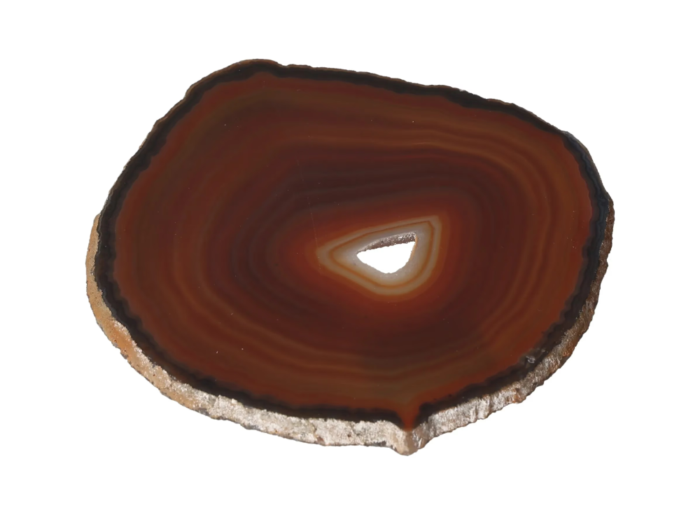 orbitvu|type:image2d