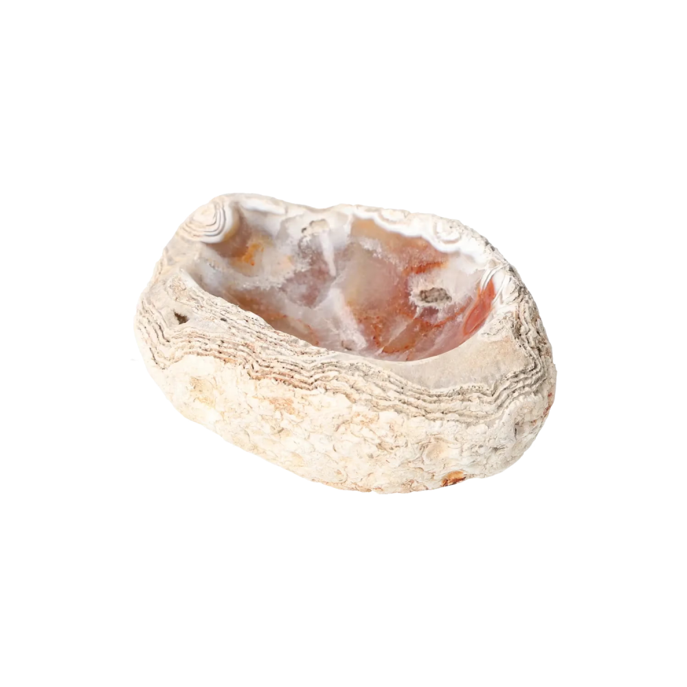 orbitvu|type:image2d