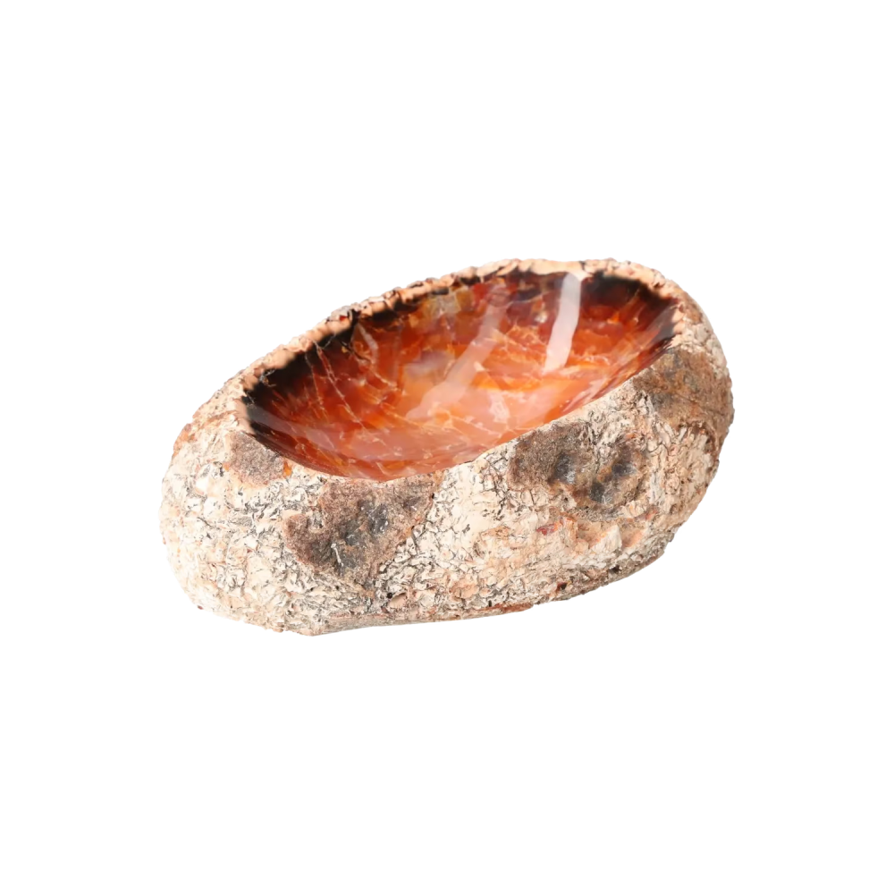 orbitvu|type:image2d