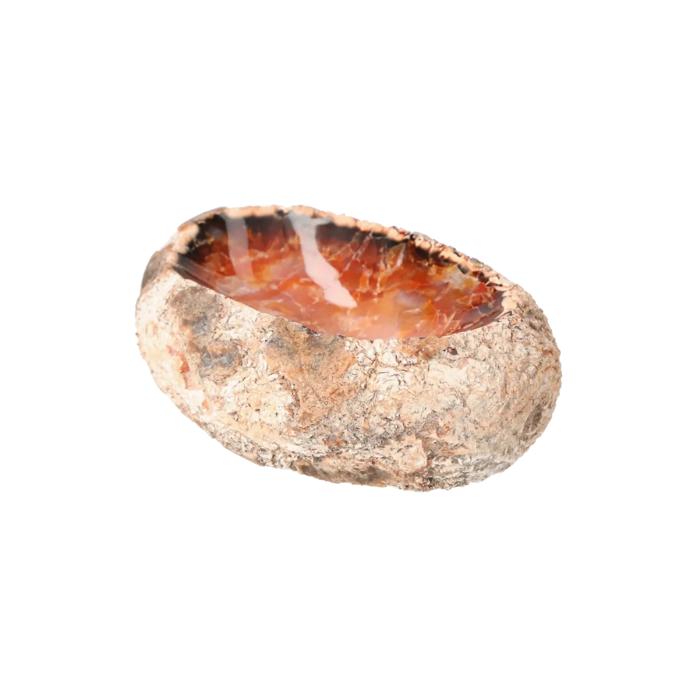 orbitvu|type:image2d