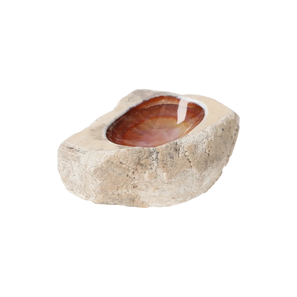 orbitvu|type:image2d