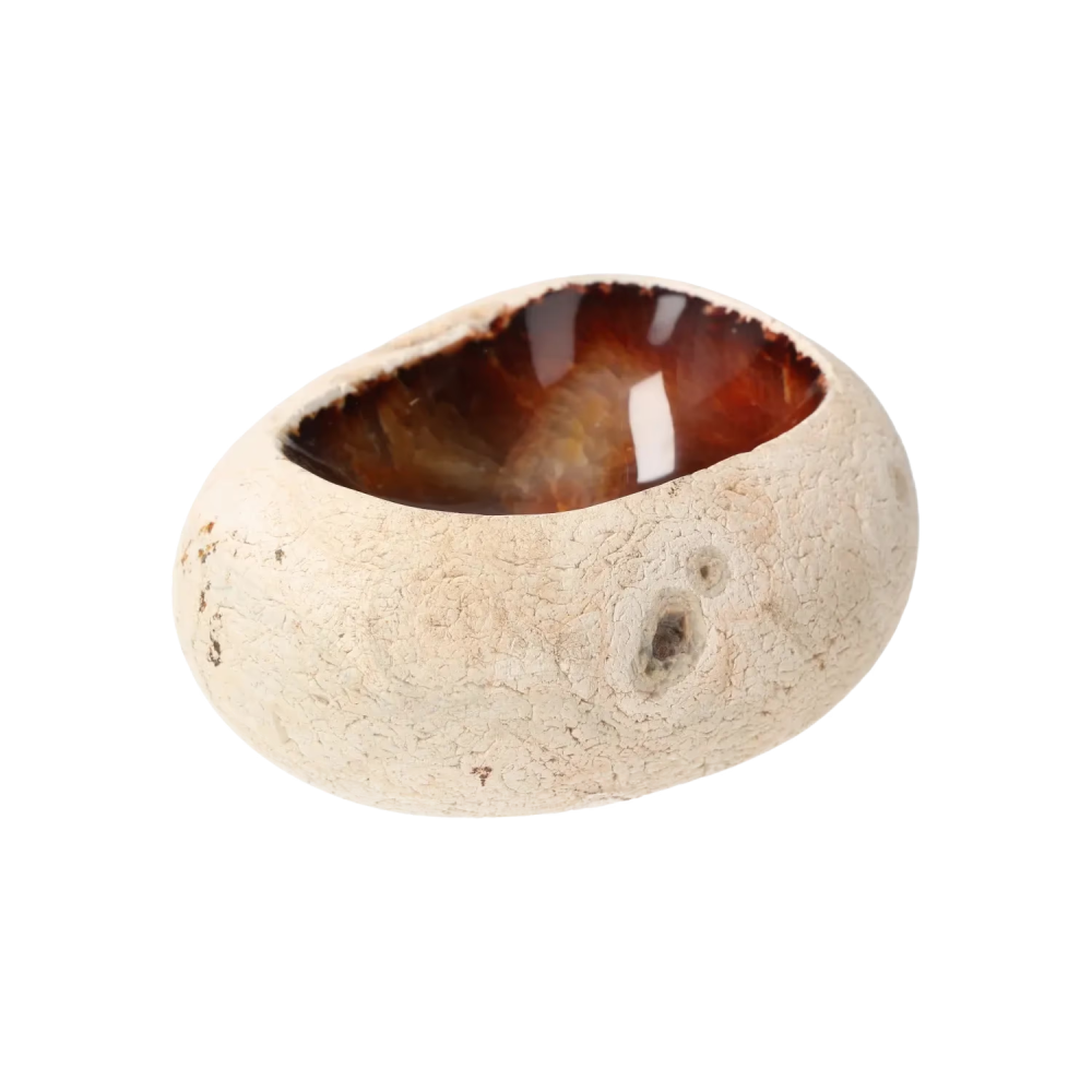 orbitvu|type:image2d