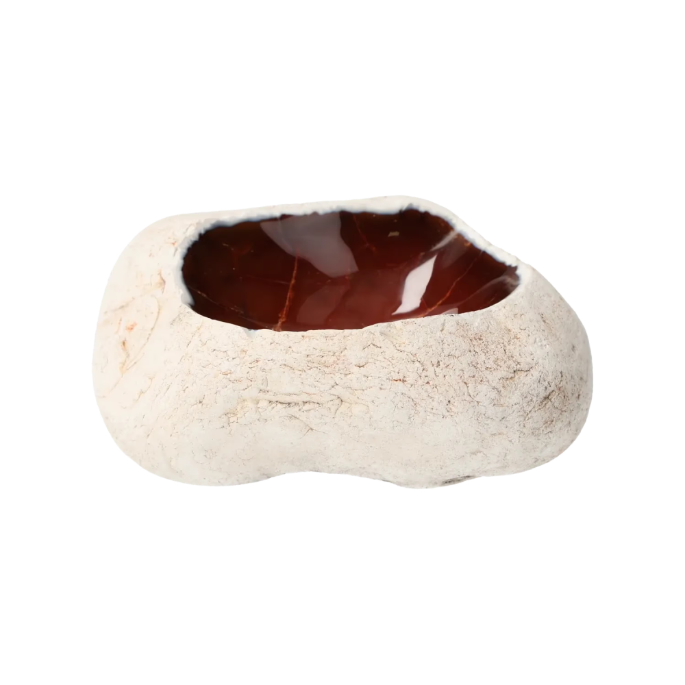 orbitvu|type:image2d
