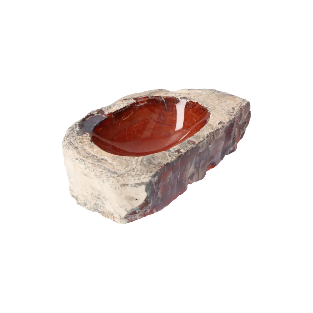 orbitvu|type:image2d