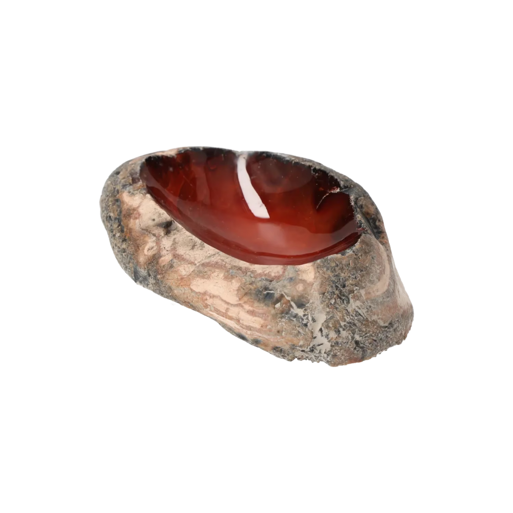 orbitvu|type:image2d