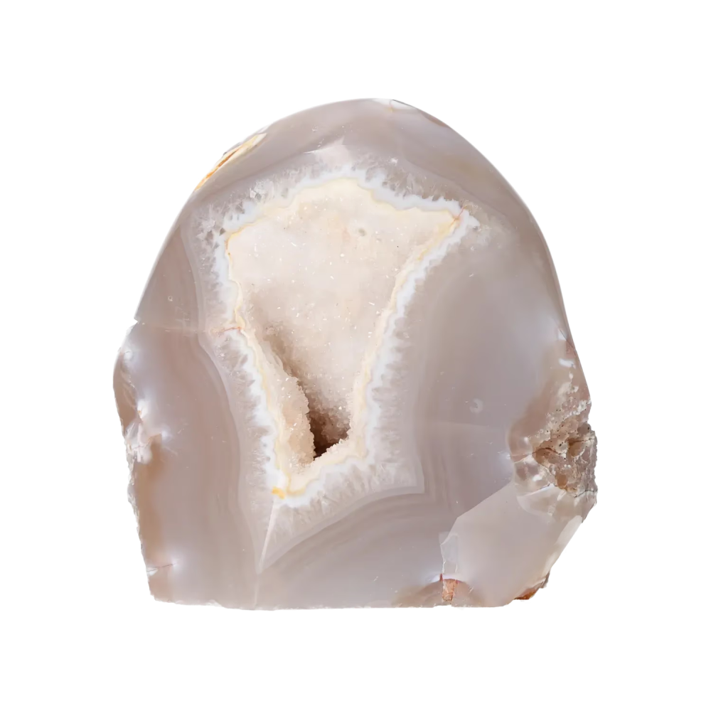 orbitvu|type:image2d