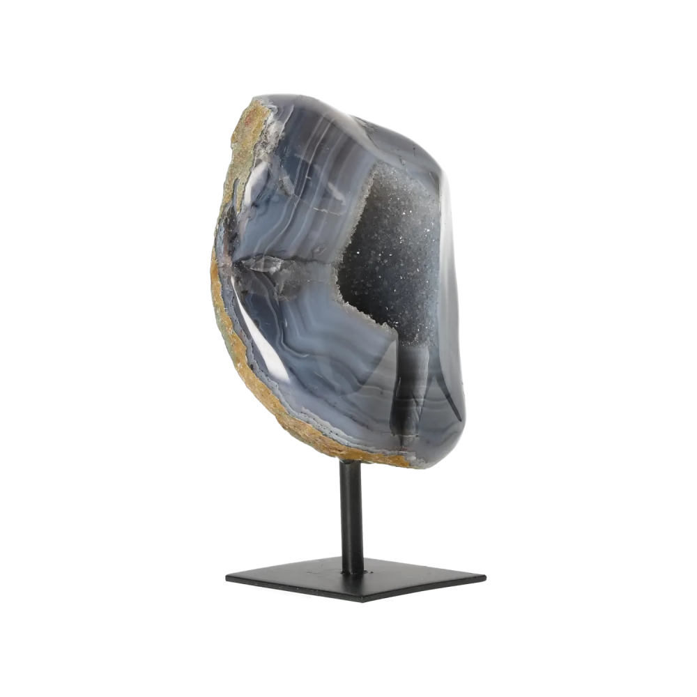 orbitvu|type:image2d