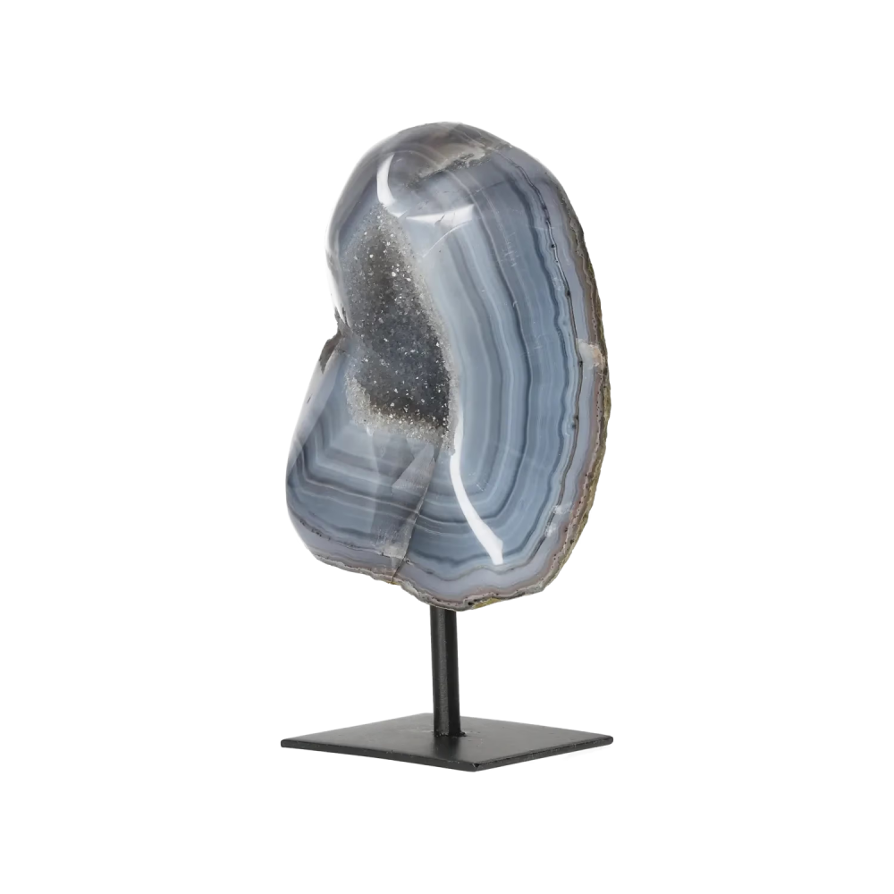 orbitvu|type:image2d