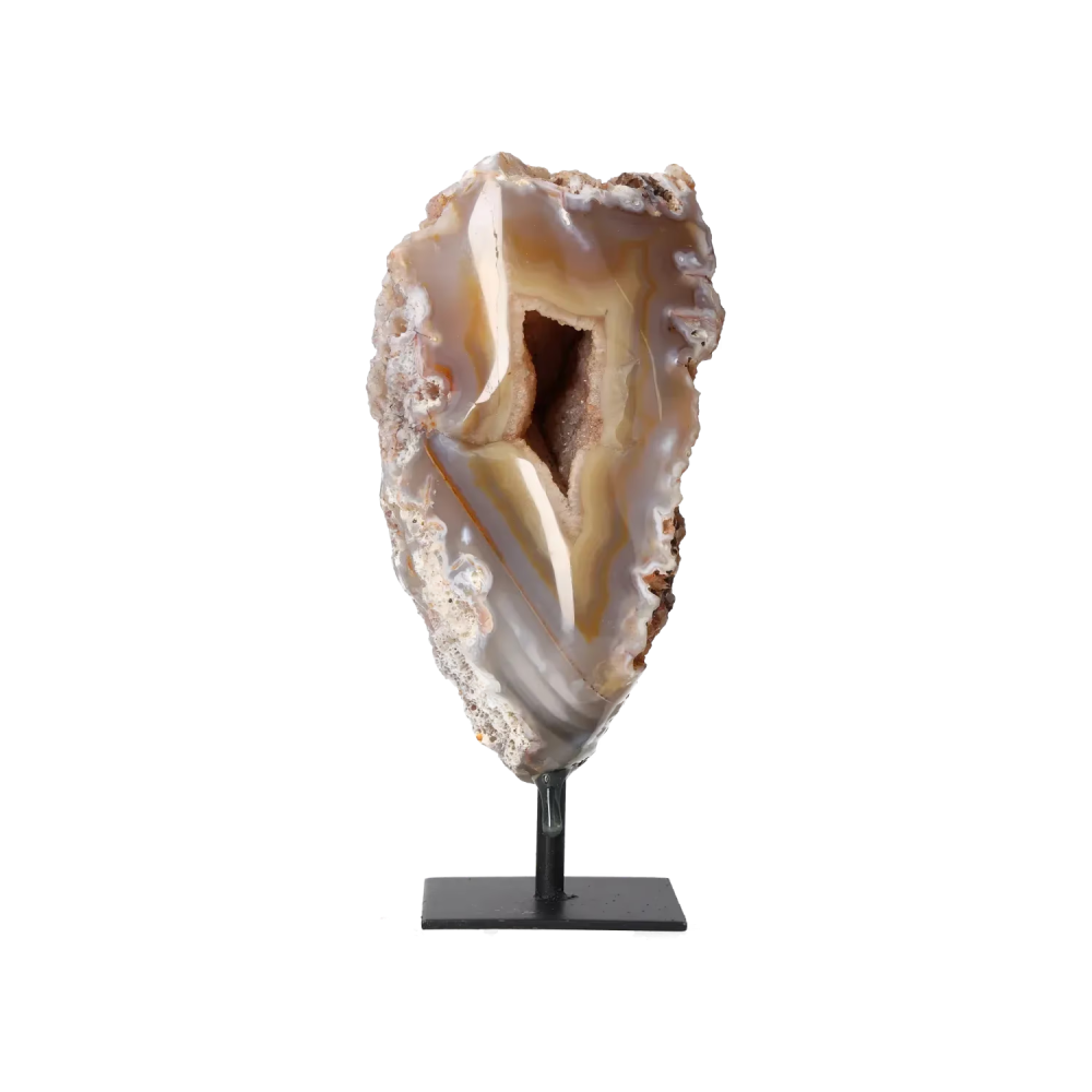orbitvu|type:image2d
