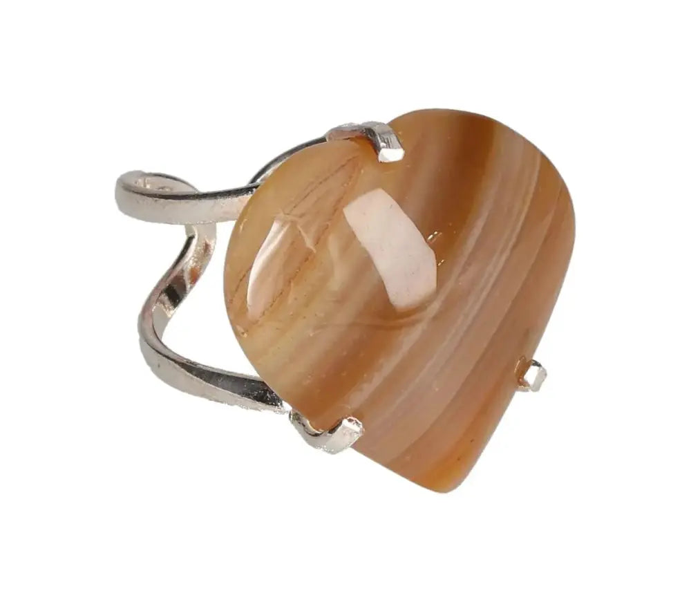 orbitvu|type:image2d