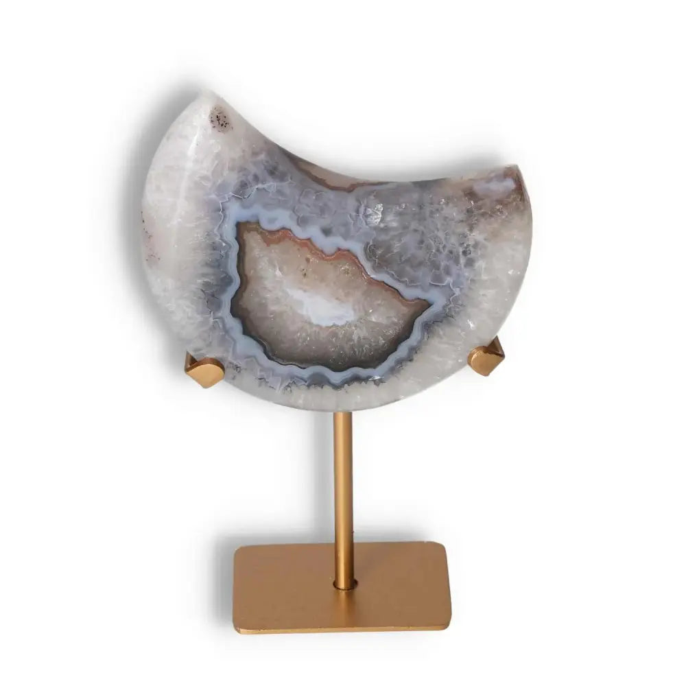 orbitvu|type:image2d