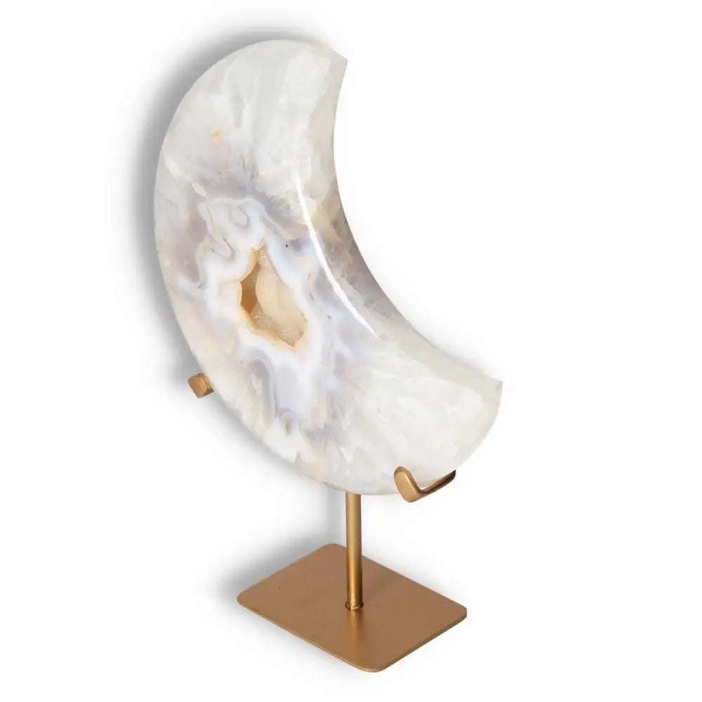 orbitvu|type:image2d