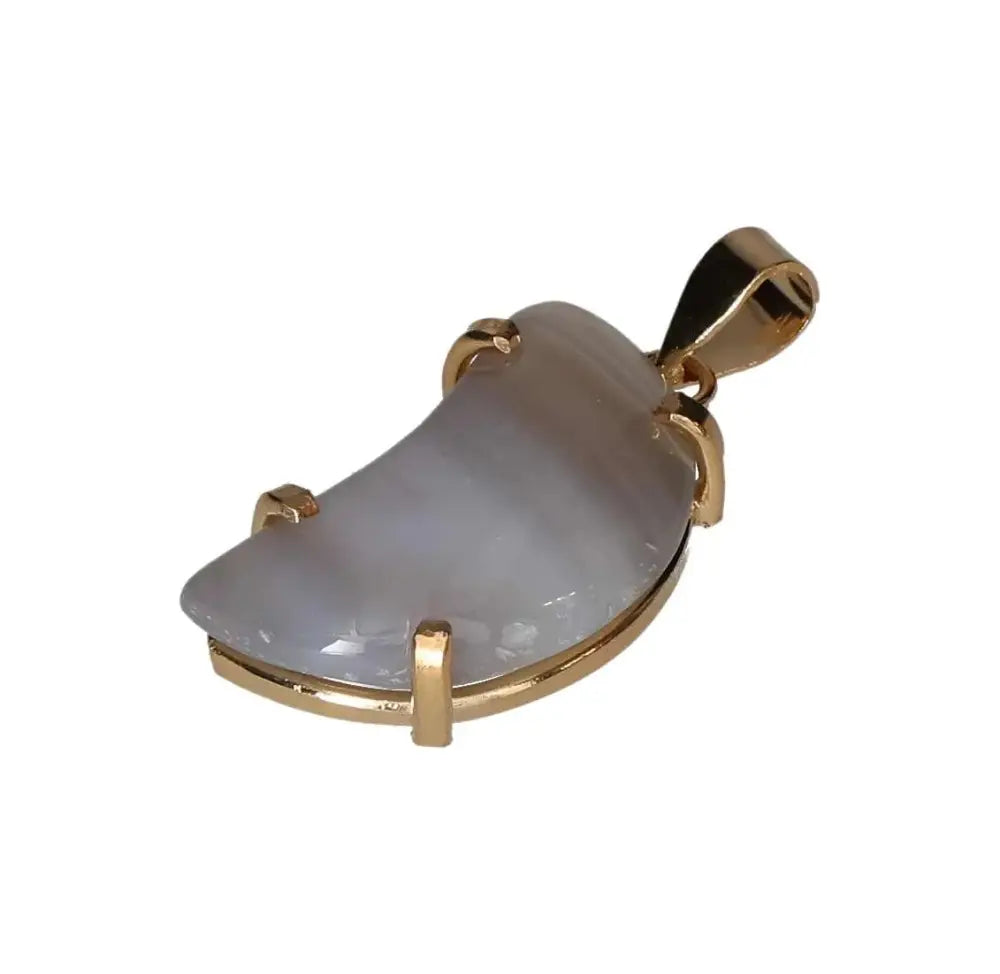 orbitvu|type:image2d