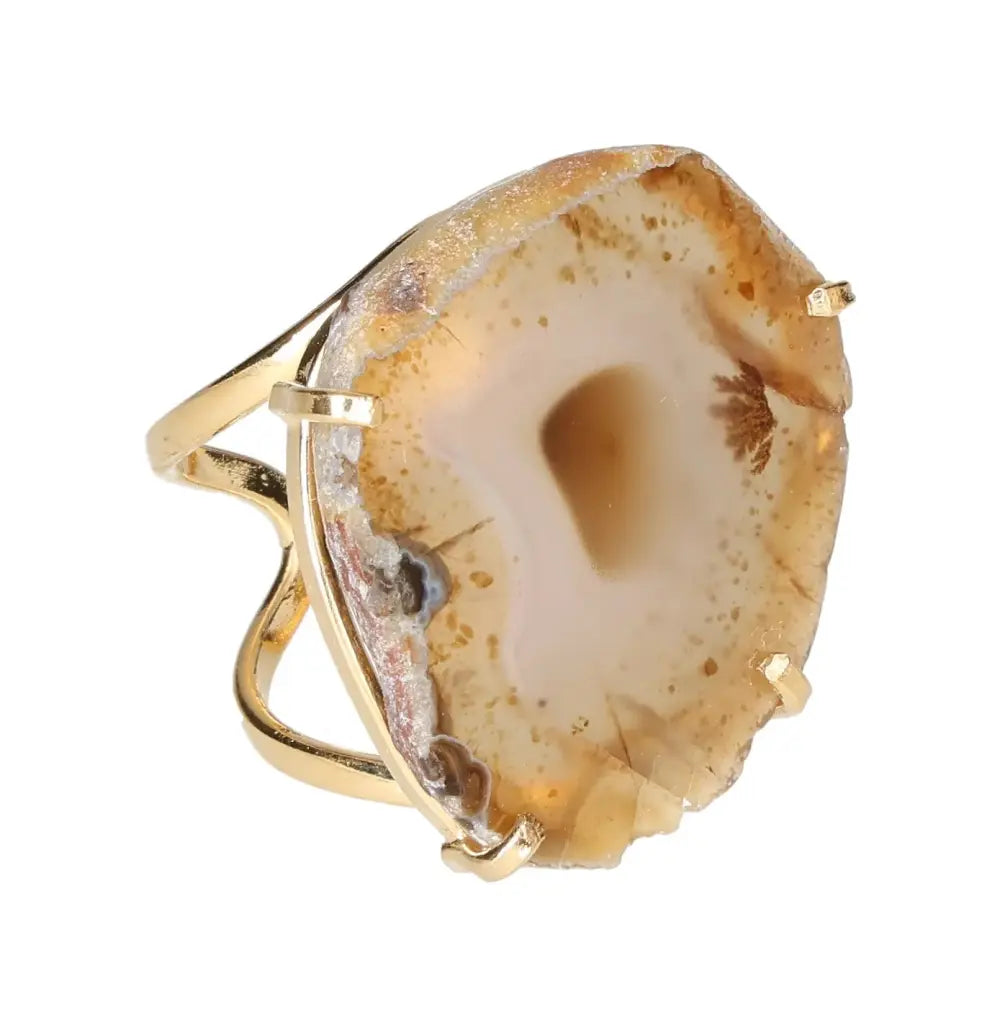 orbitvu|type:image2d