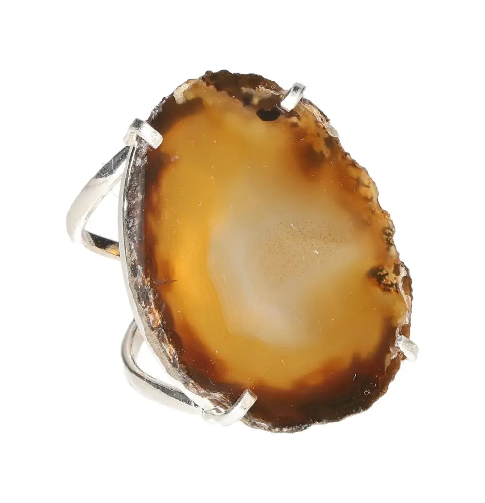 orbitvu|type:image2d