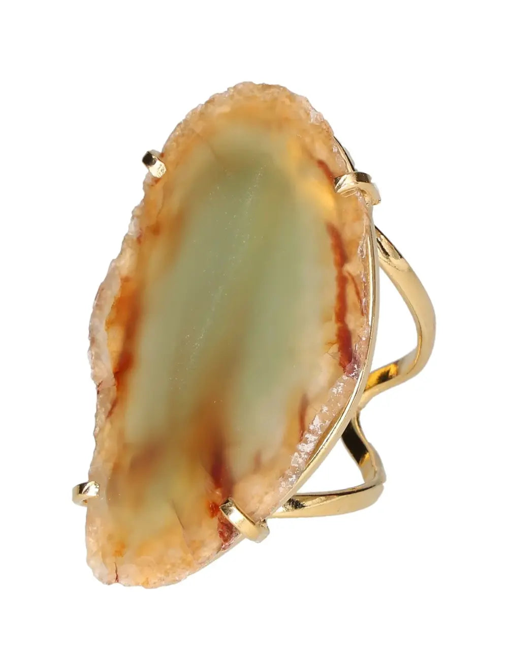 orbitvu|type:image2d