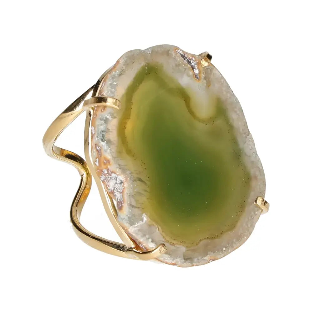 orbitvu|type:image2d