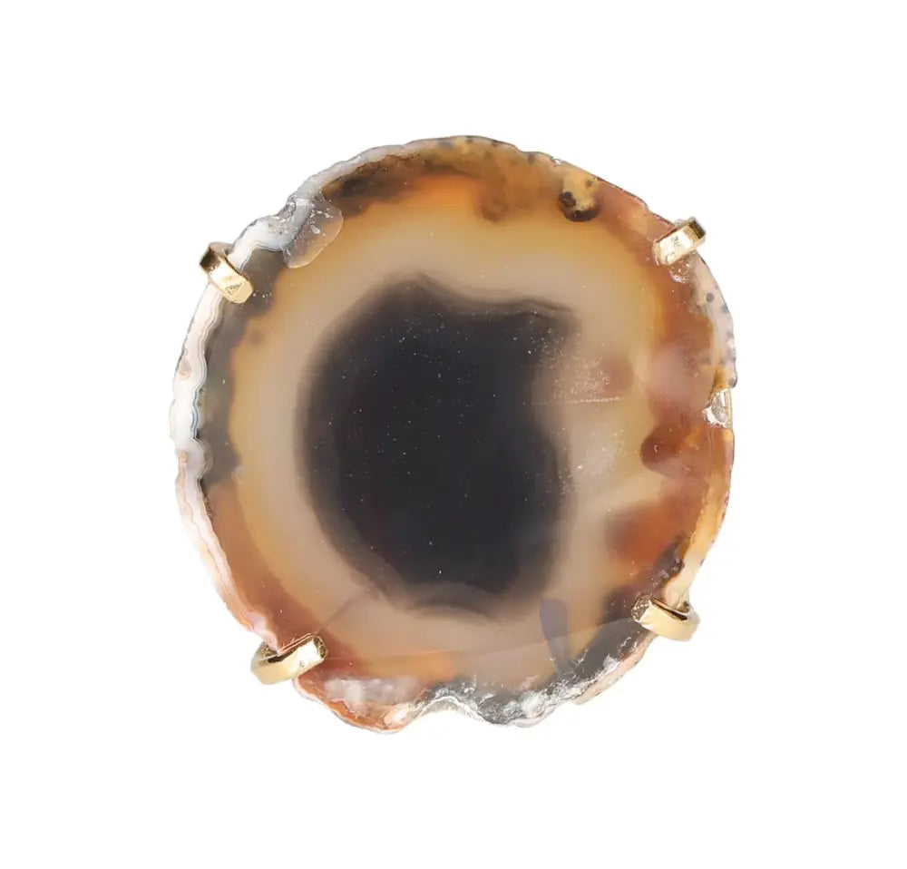 orbitvu|type:image2d