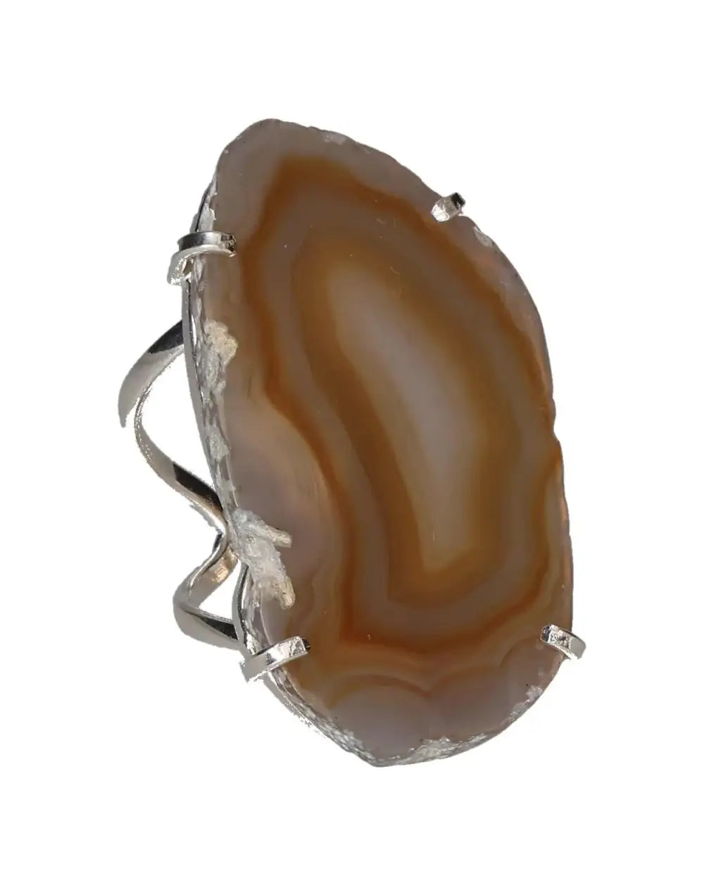 orbitvu|type:image2d