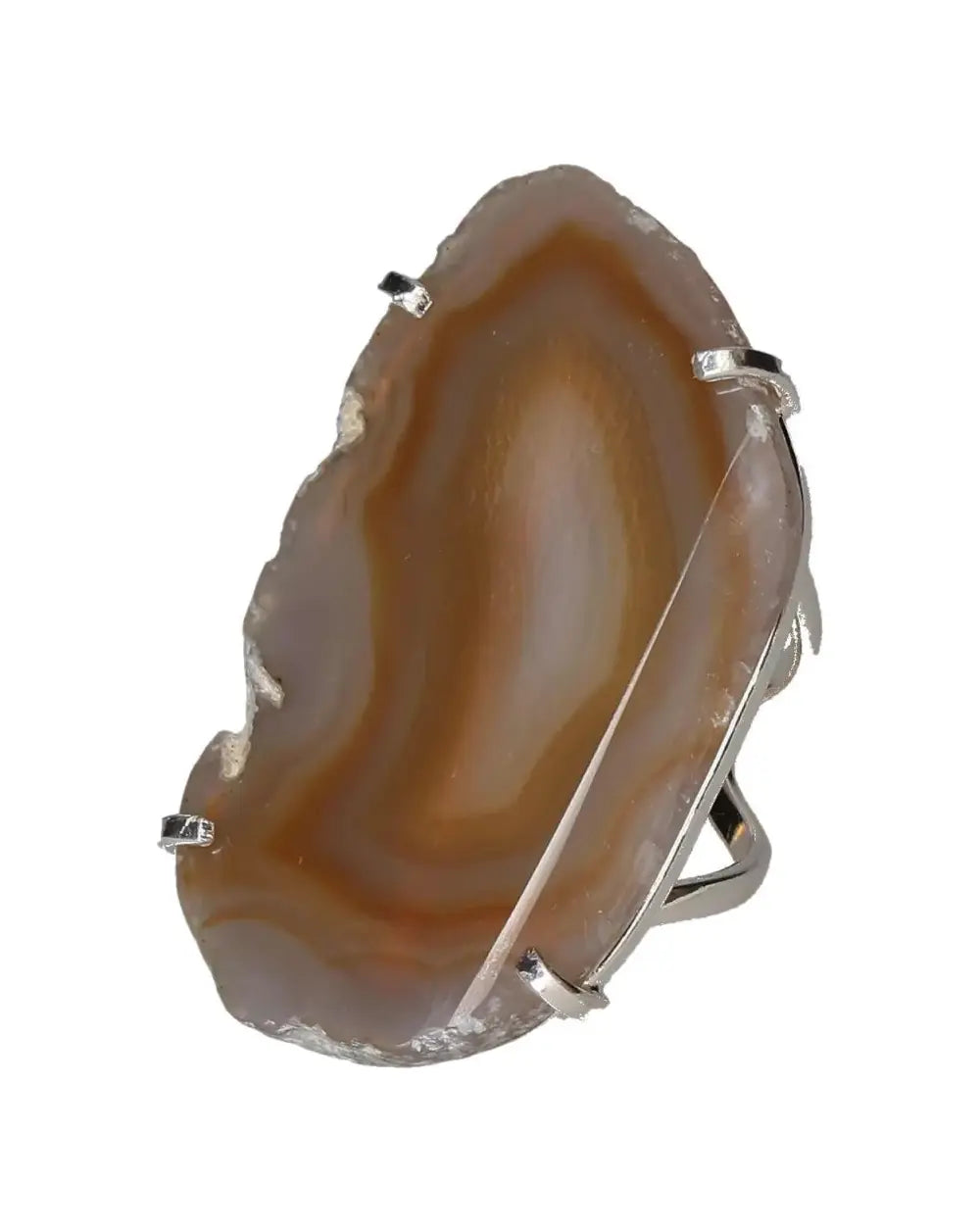 orbitvu|type:image2d