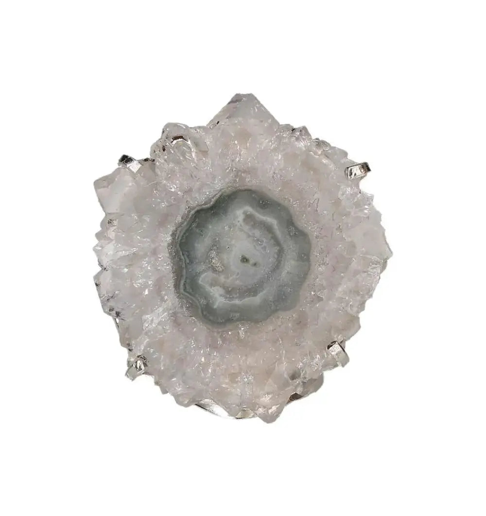 orbitvu|type:image2d