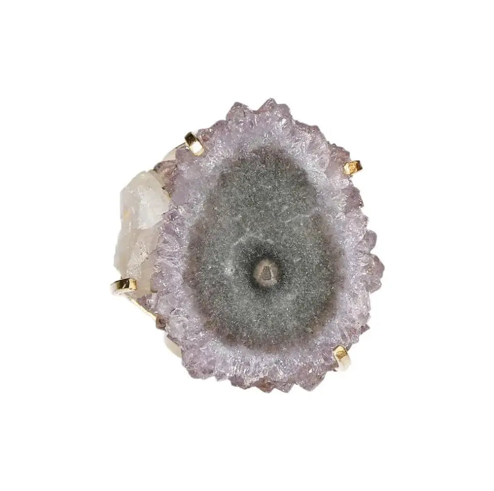 orbitvu|type:image2d