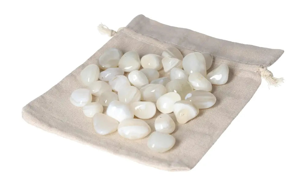 orbitvu|type:image2d