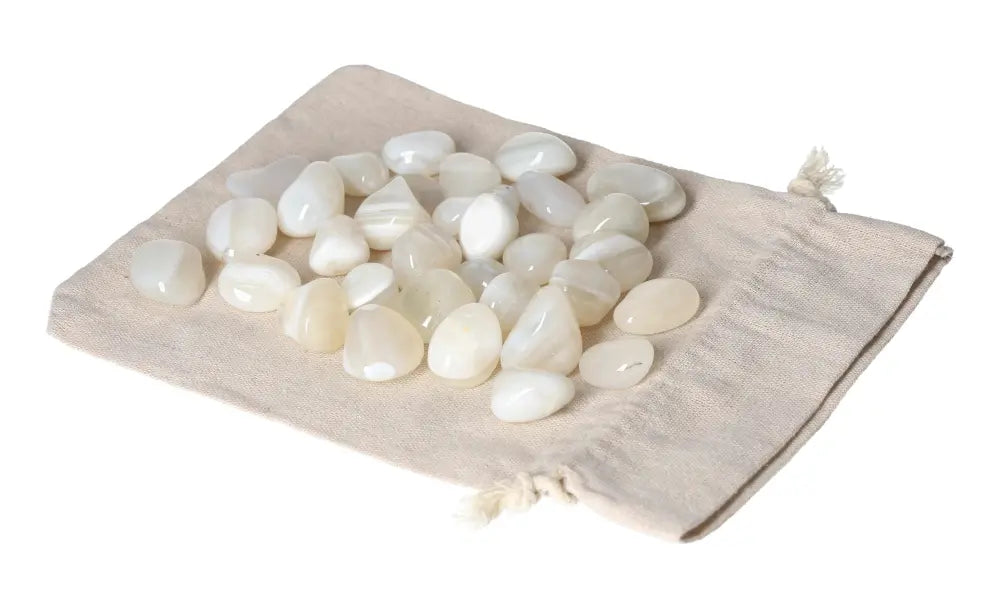 orbitvu|type:image2d