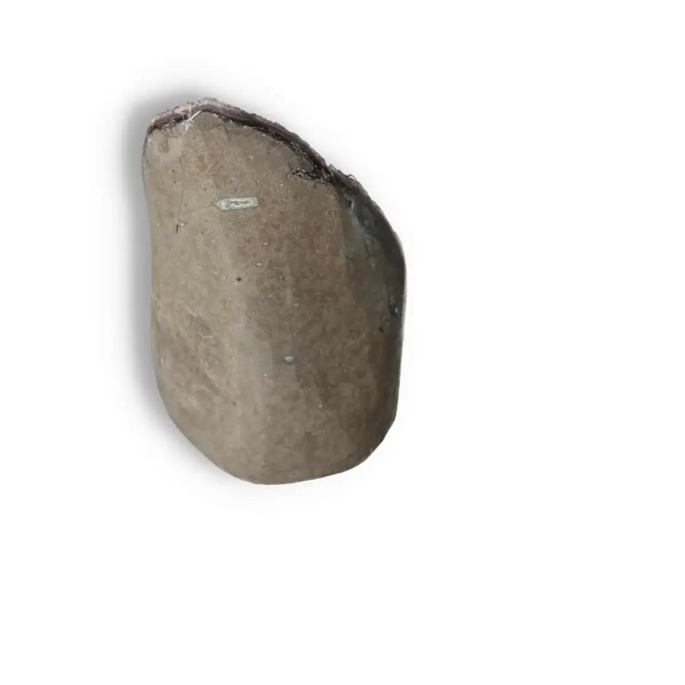 Back view of Amethyst Cut Base Geode by Sylvia Crystals showcasing raw stone texture and natural shape.