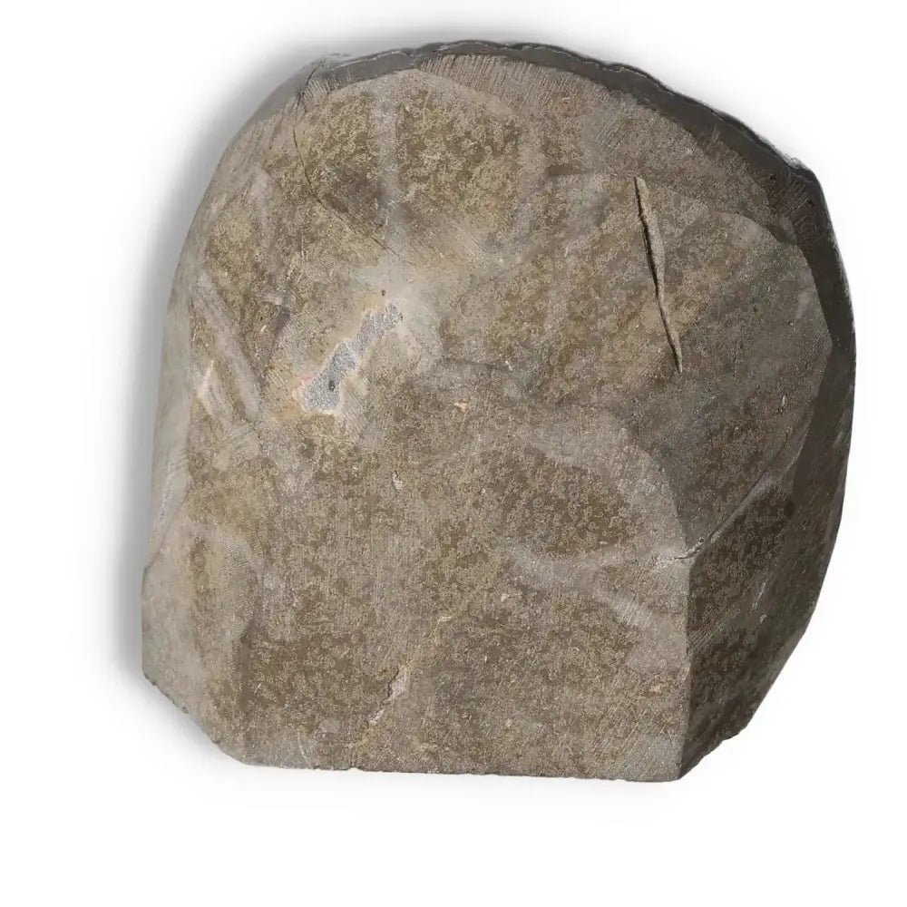 Amethyst Cut Base Geode by Sylvia Crystals, perfect for decor and enhancing emotional stability and concentration.