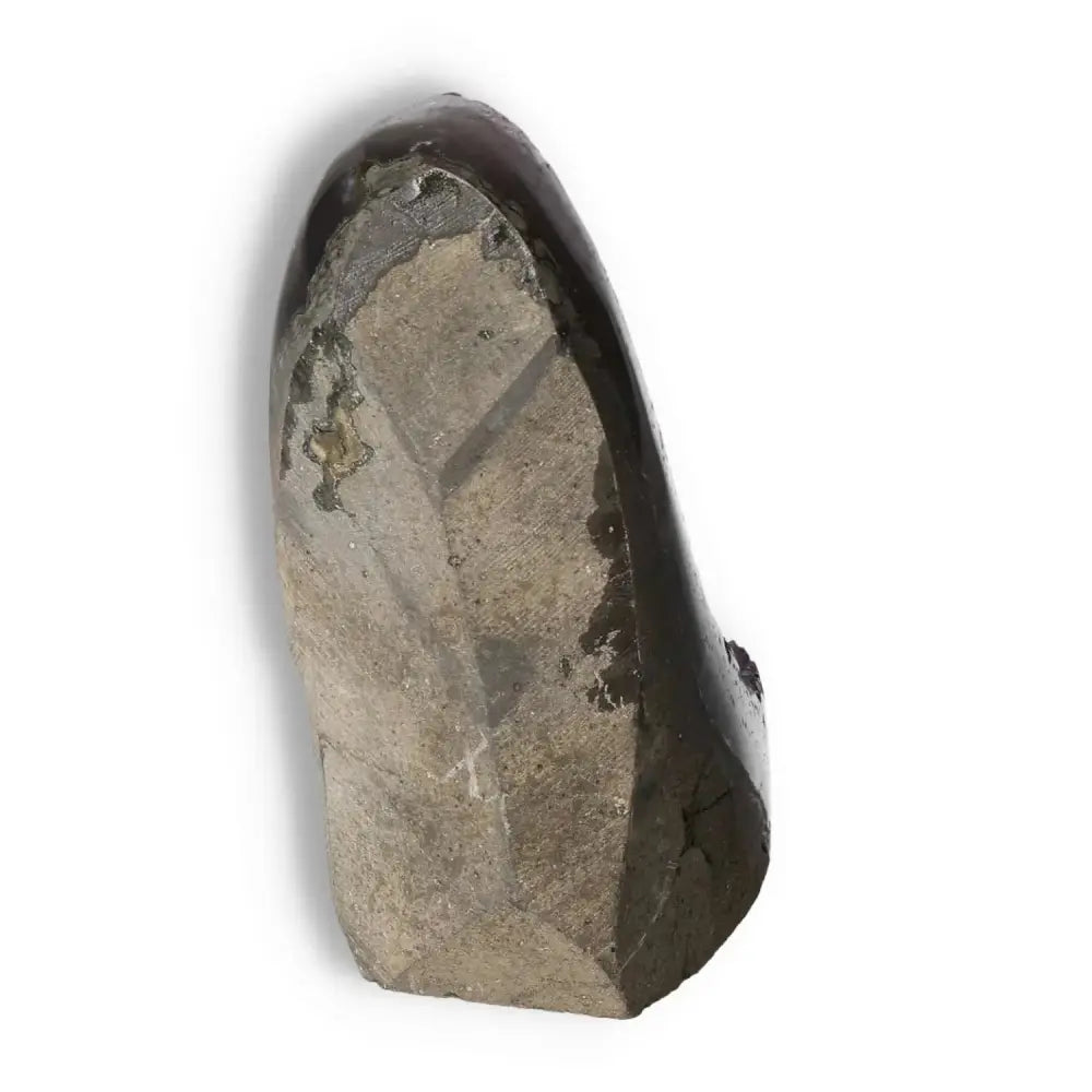 Amethyst Cut Base Geode with deep purple hues, premium gemstone from Sylvia Crystals, showcasing natural elegance in contemporary design.