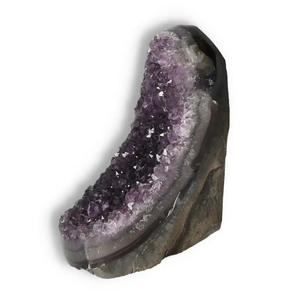 Luxurious Amethyst Cut Base Geode with deep purple crystals from Sylvia Crystals, showcasing natural elegance and contemporary design.