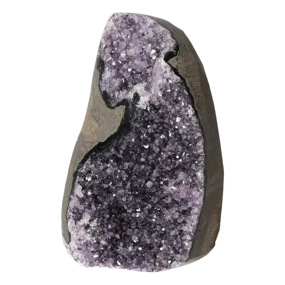 Amethyst Cut Base Geode from Sylvia Crystals, showcasing premium quality and unique energy-enhancing charm.