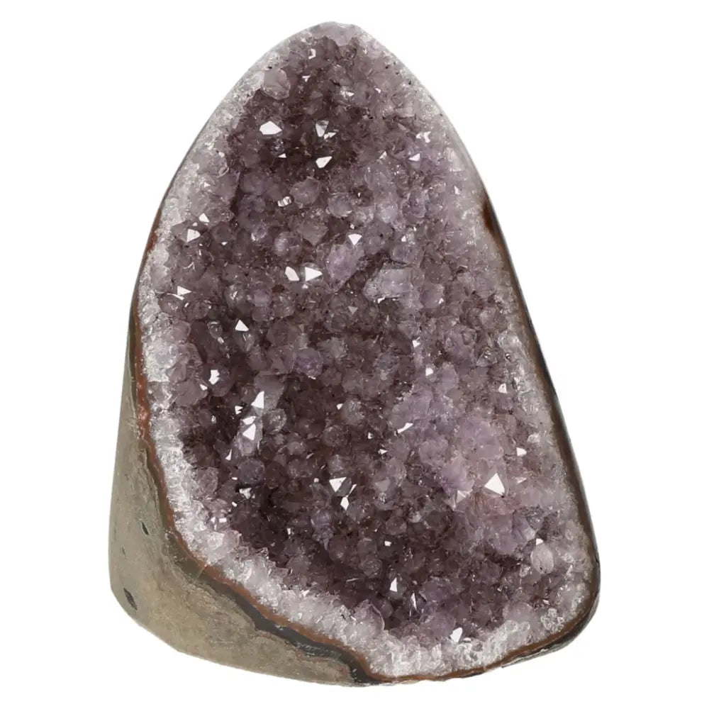 Amethyst cut base geode with vibrant purple crystals, promoting tranquility and luxury by Sylvia Crystals.