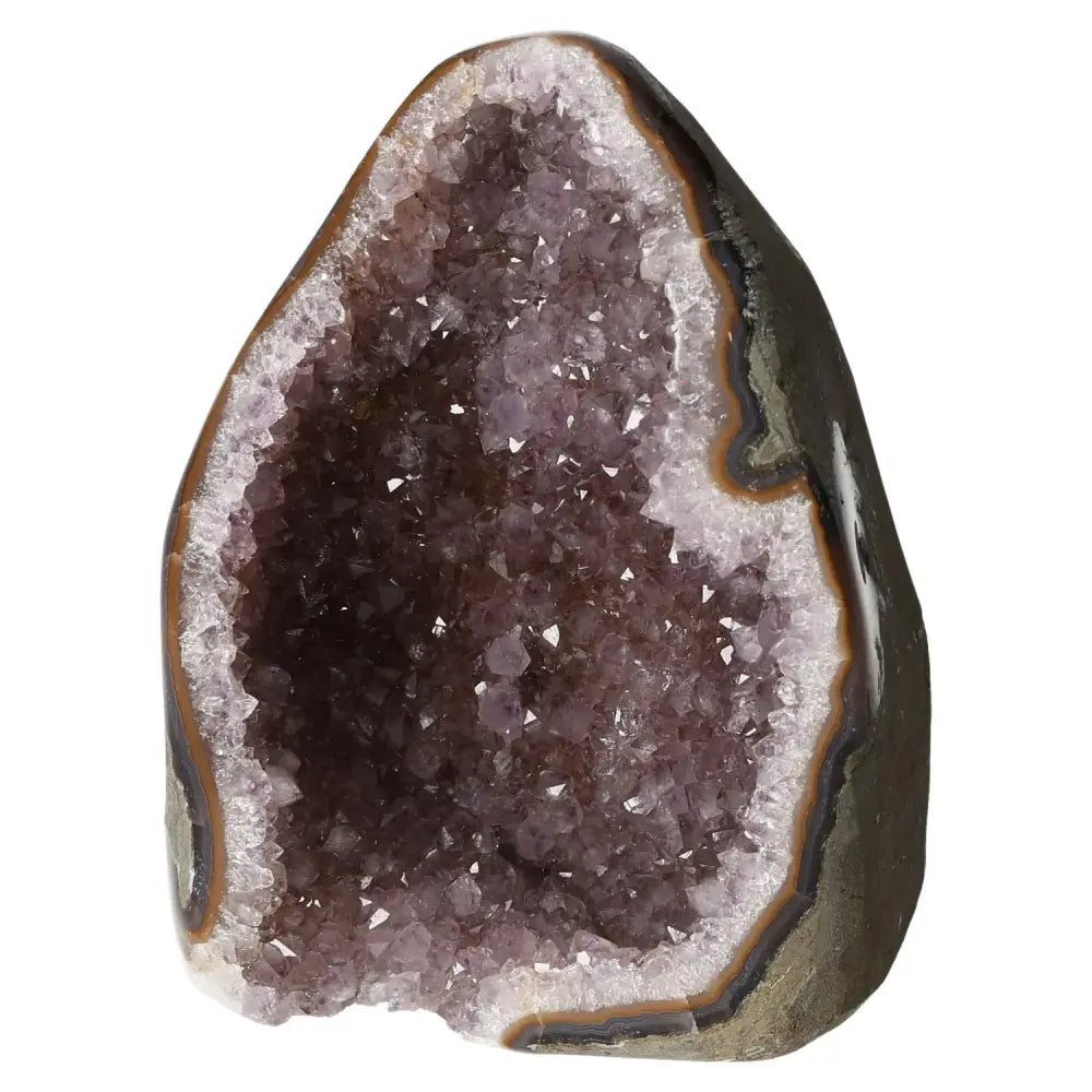 Elegant Amethyst Cut Base Geode from Sylvia Crystals, providing serenity and clarity with its stunning purple crystal formation.