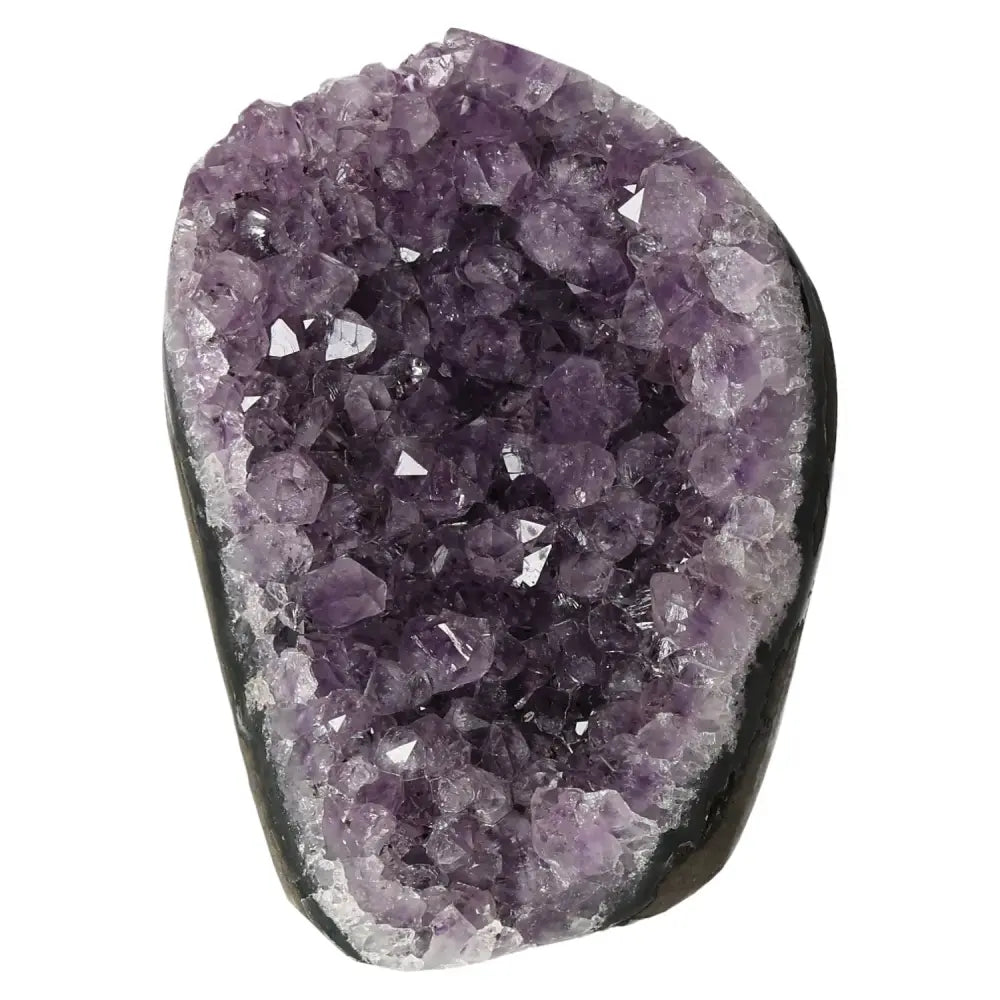 Amethyst Cut Base Geode - Premium crystal from Sylvia Crystals, exemplifying luxury and elegance for collectors and enthusiasts.