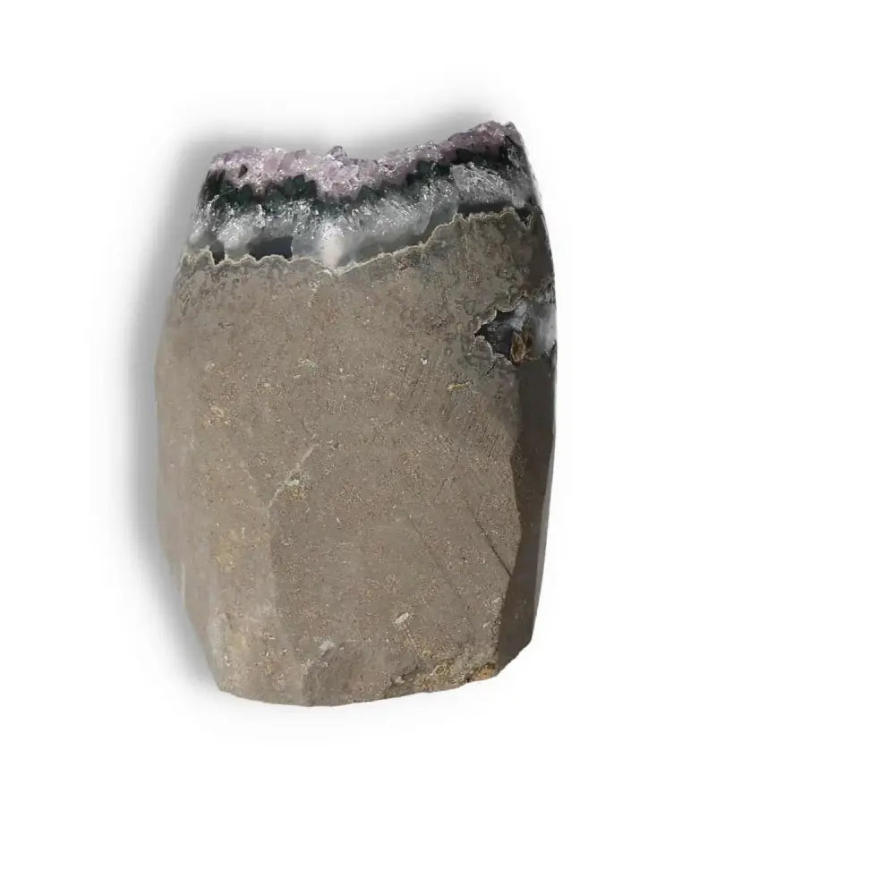 orbitvu|type:image2d