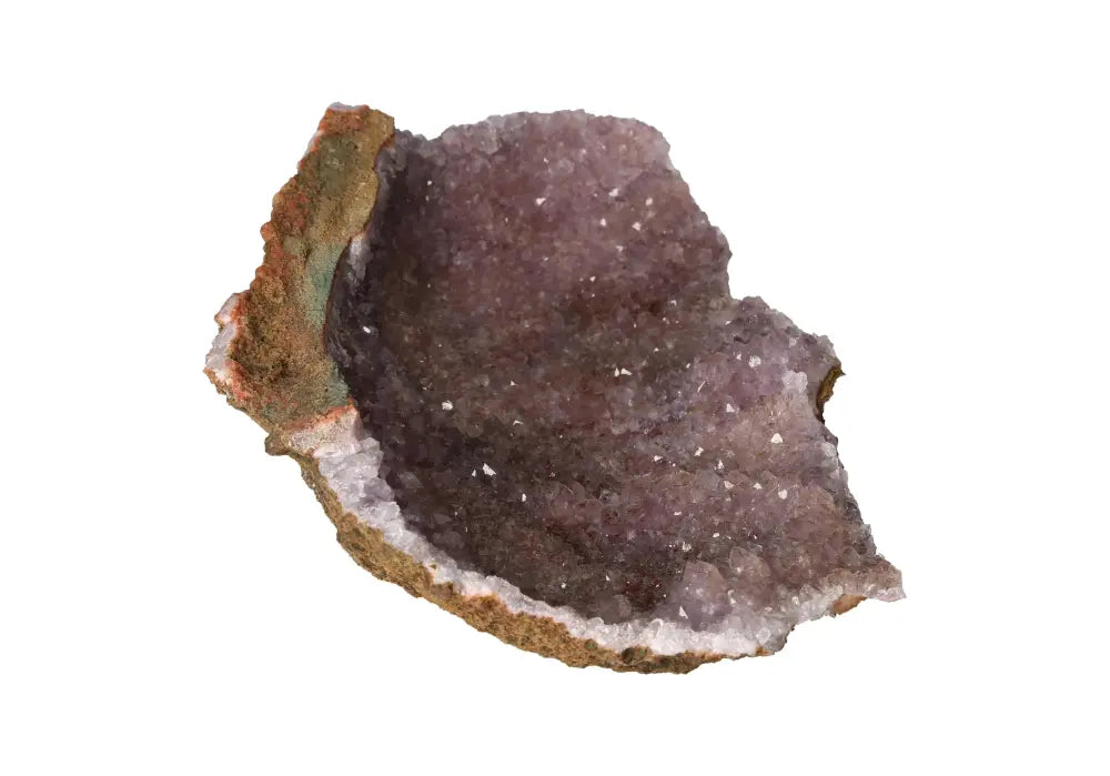 orbitvu|type:image2d