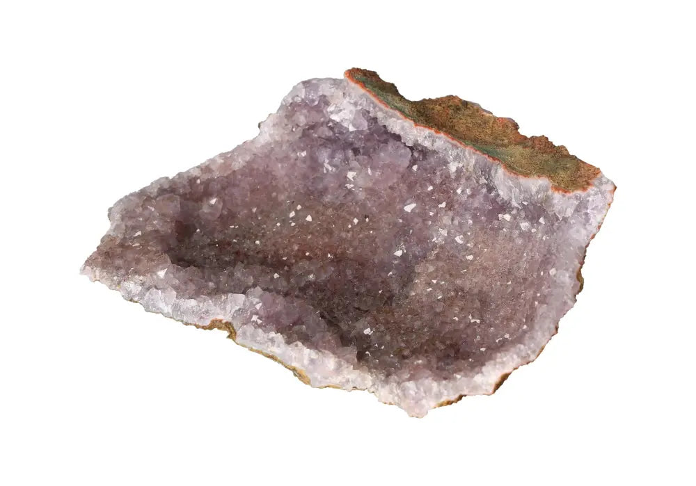 orbitvu|type:image2d