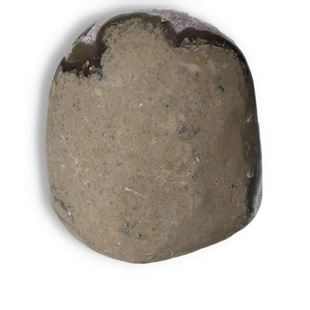 orbitvu|type:image2d